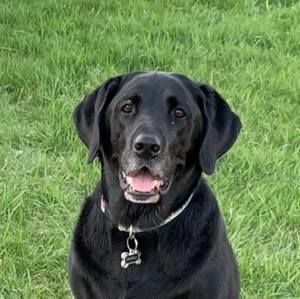 Meet your Posher, Cathy